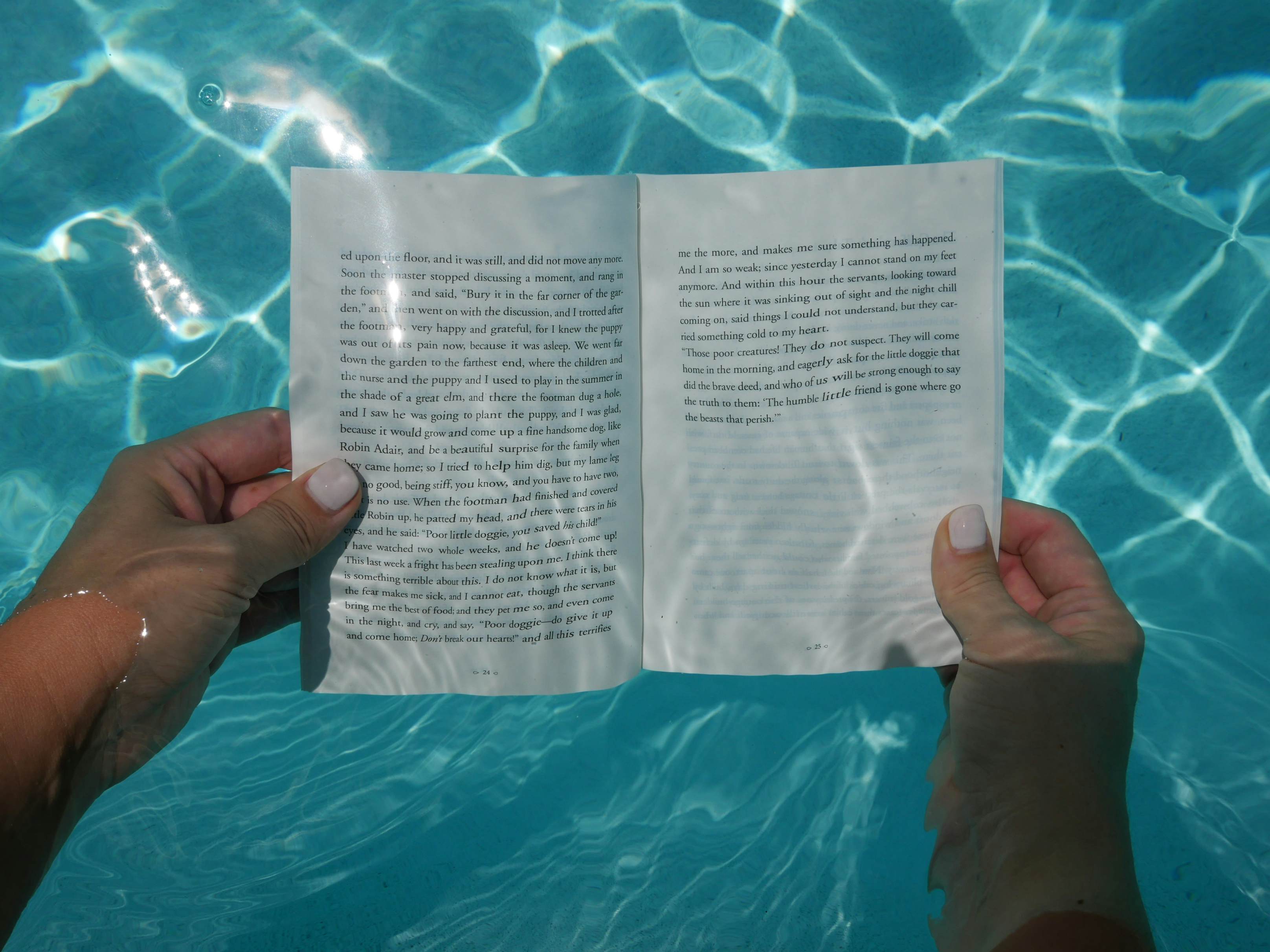 This underwater library makes vacation reading a breeze Lonely